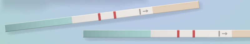 Ovulation prediction strips