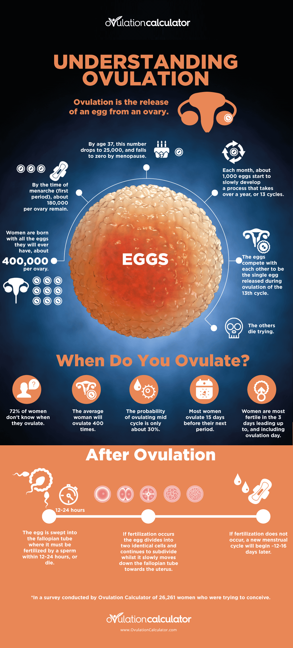 Can You Ovulate More Than Once A Month Or Cycle?