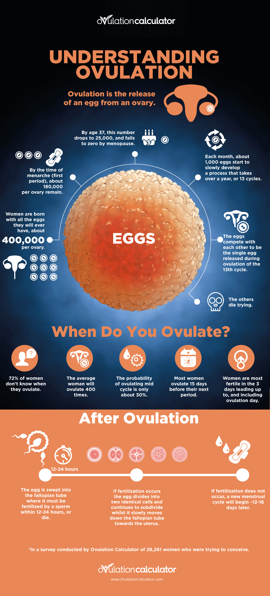 When Will You Ovulate On Clomid