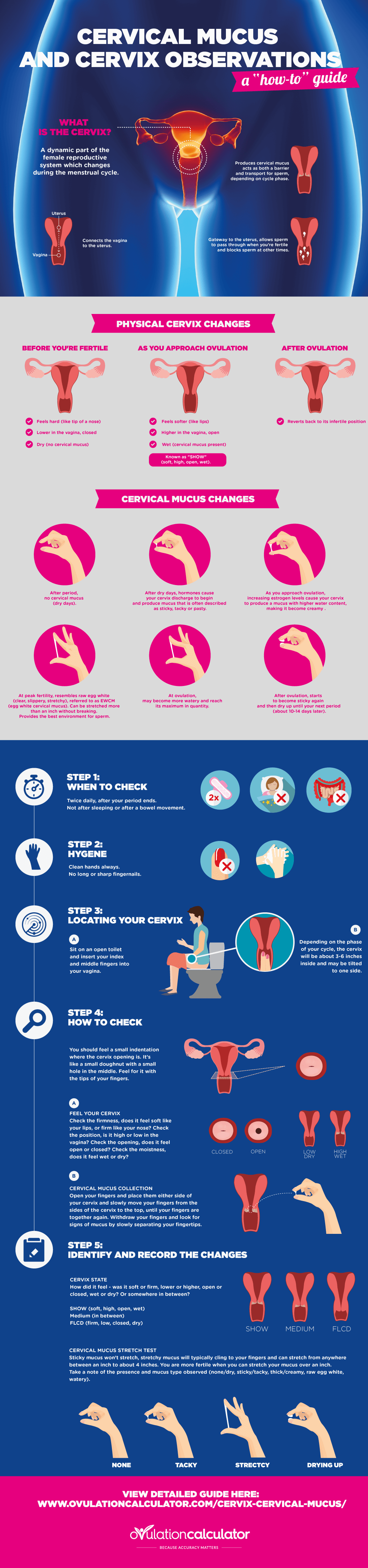 Observe & Evaluate Cervical Mucus - Cervical Mucus Guide.